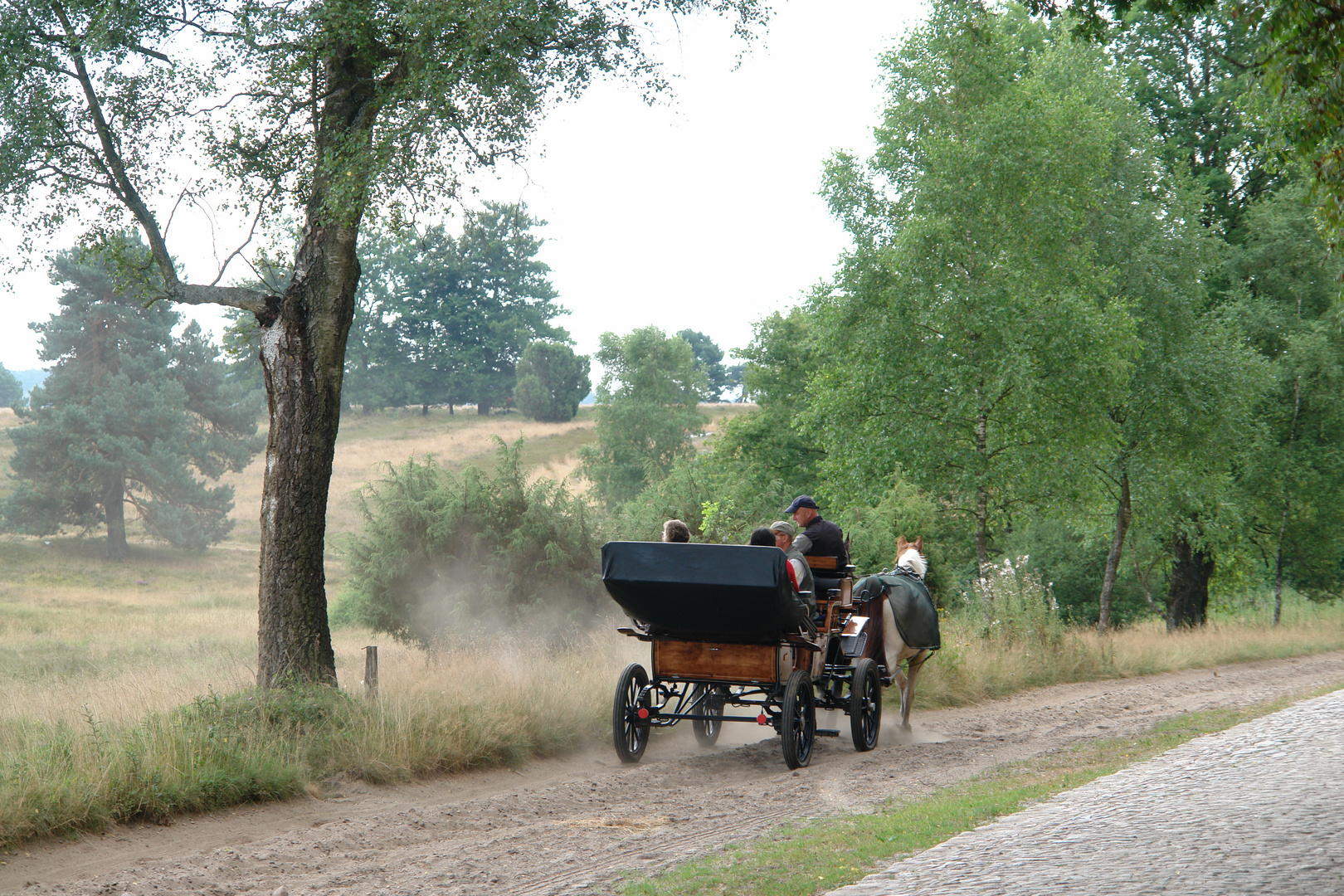 Ausflug in die Heide