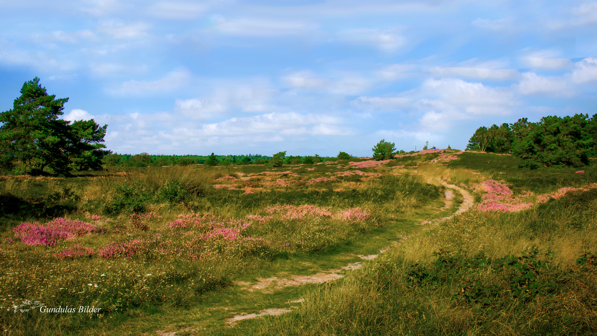 Ausflug in die Heide