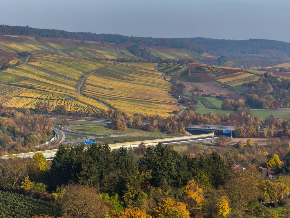 Ausflug in die herbstlichen Weinberge #1