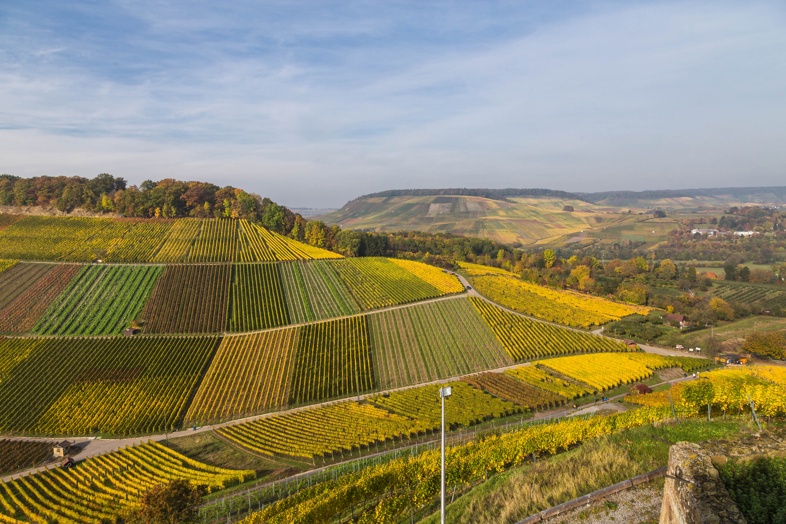 Ausflug in die herbstlichen Weinberge #2