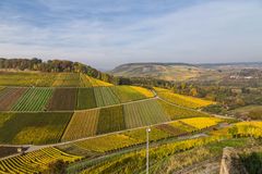 Ausflug in die herbstlichen Weinberge #2