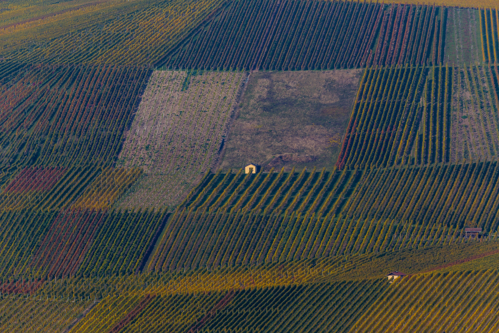 Ausflug in die herbstlichen Weinberge #3