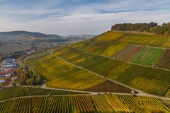 Ausflug in die herbstlichen Weinberge #4