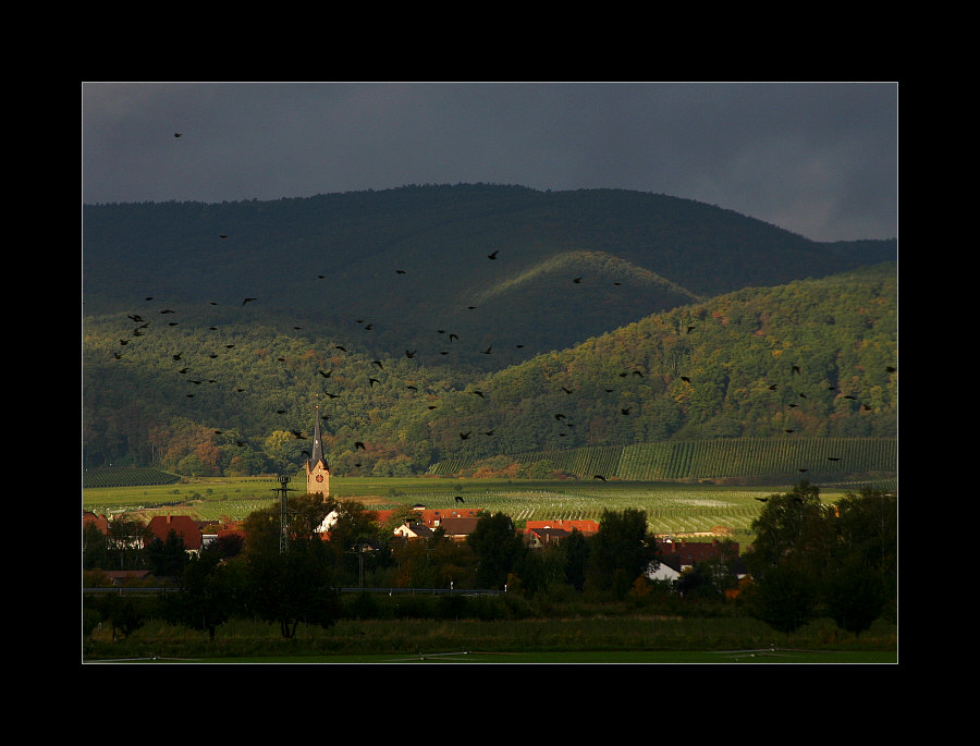 Ausflug in die Pfalz #1 (26)