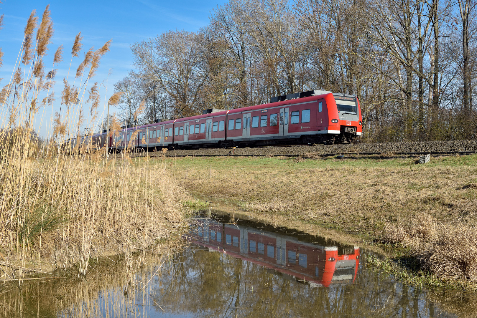 Ausflug in die Pfalz III