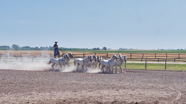Ausflug in die Puszta