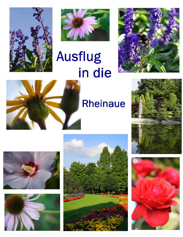 Ausflug in die Rheinaue....