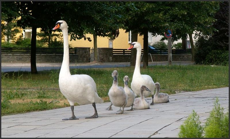 Ausflug in die Stadt