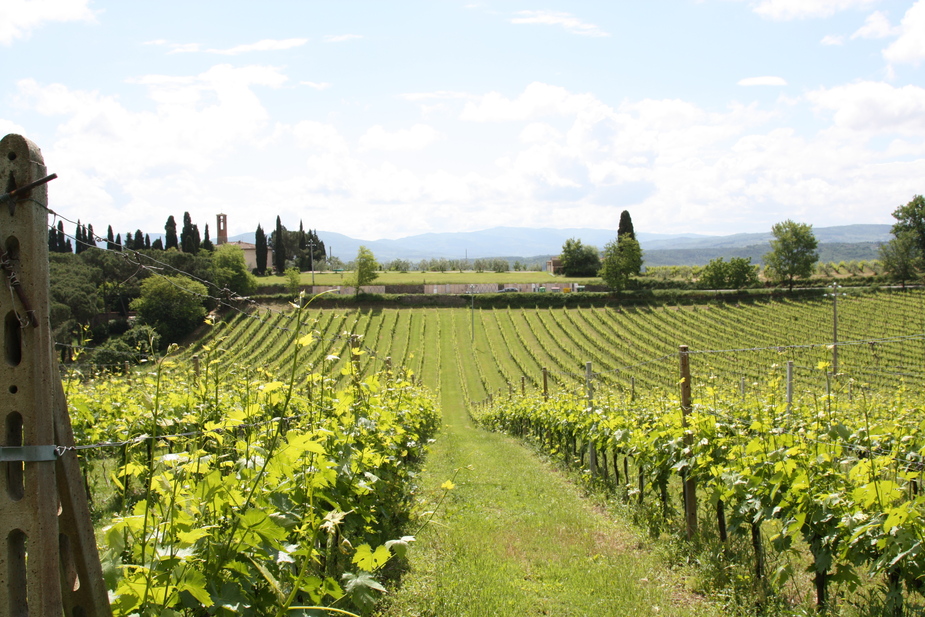 Ausflug in Toscana