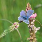 Ausflug ins Blaue