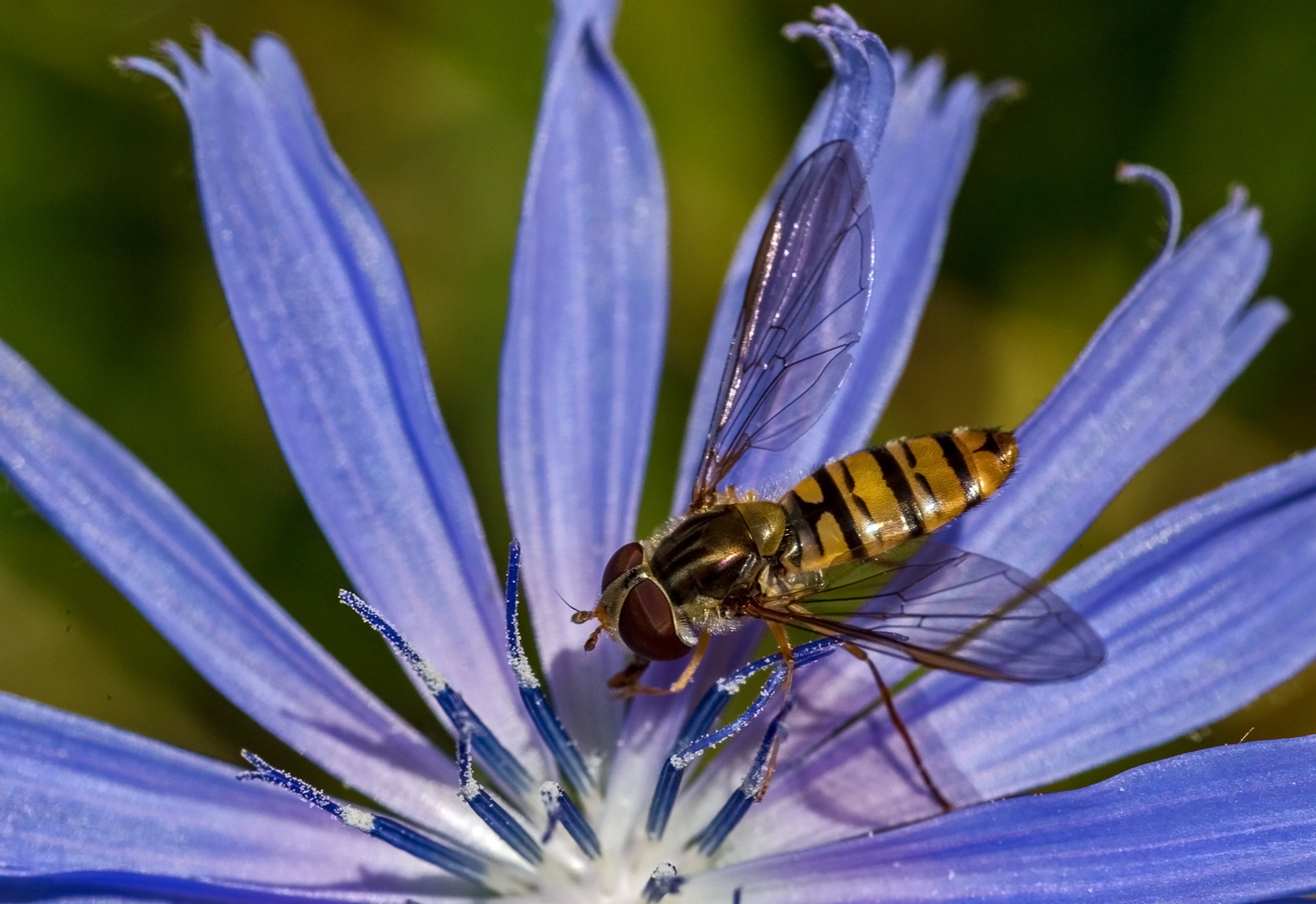 Ausflug ins Blaue