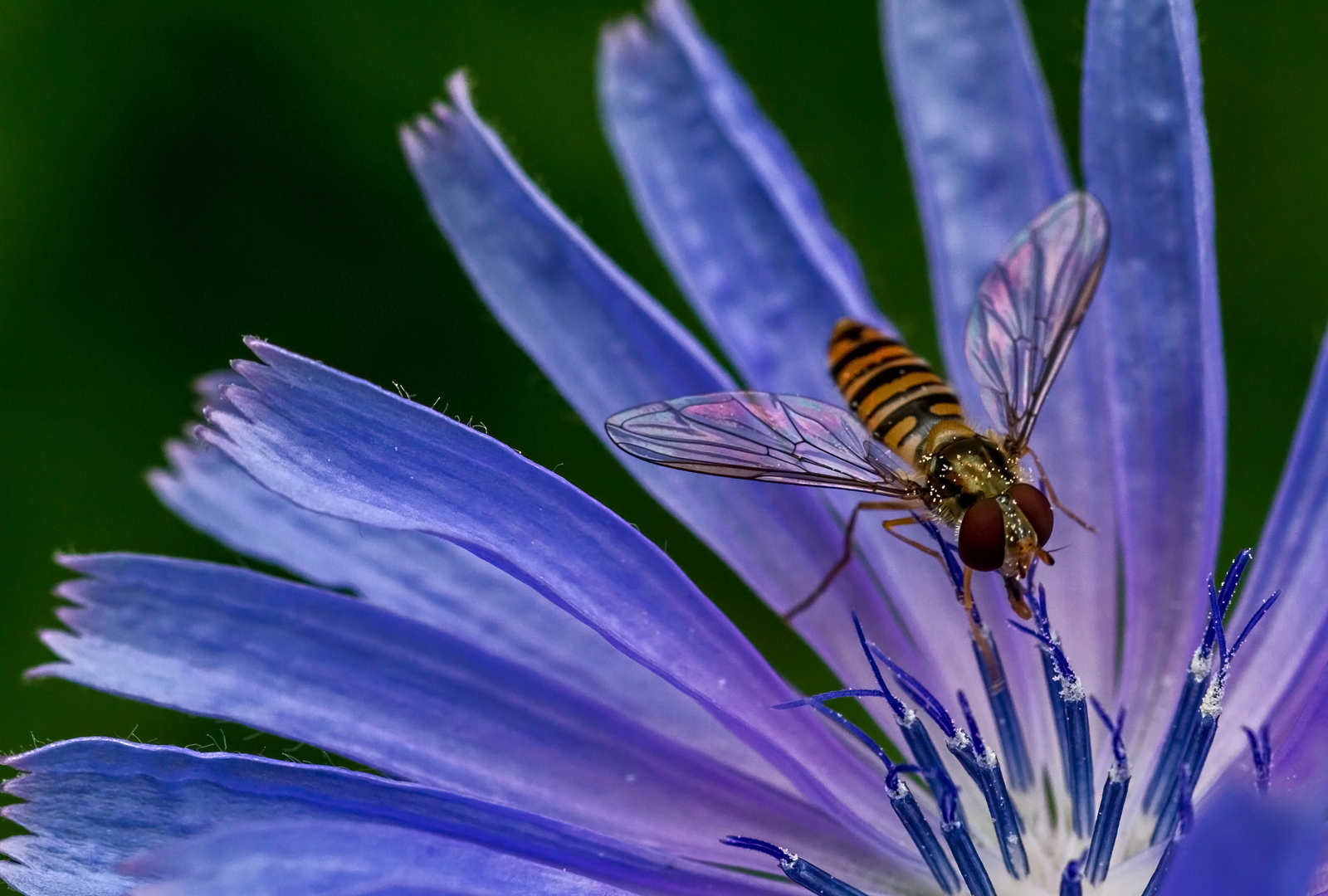 Ausflug ins Blaue