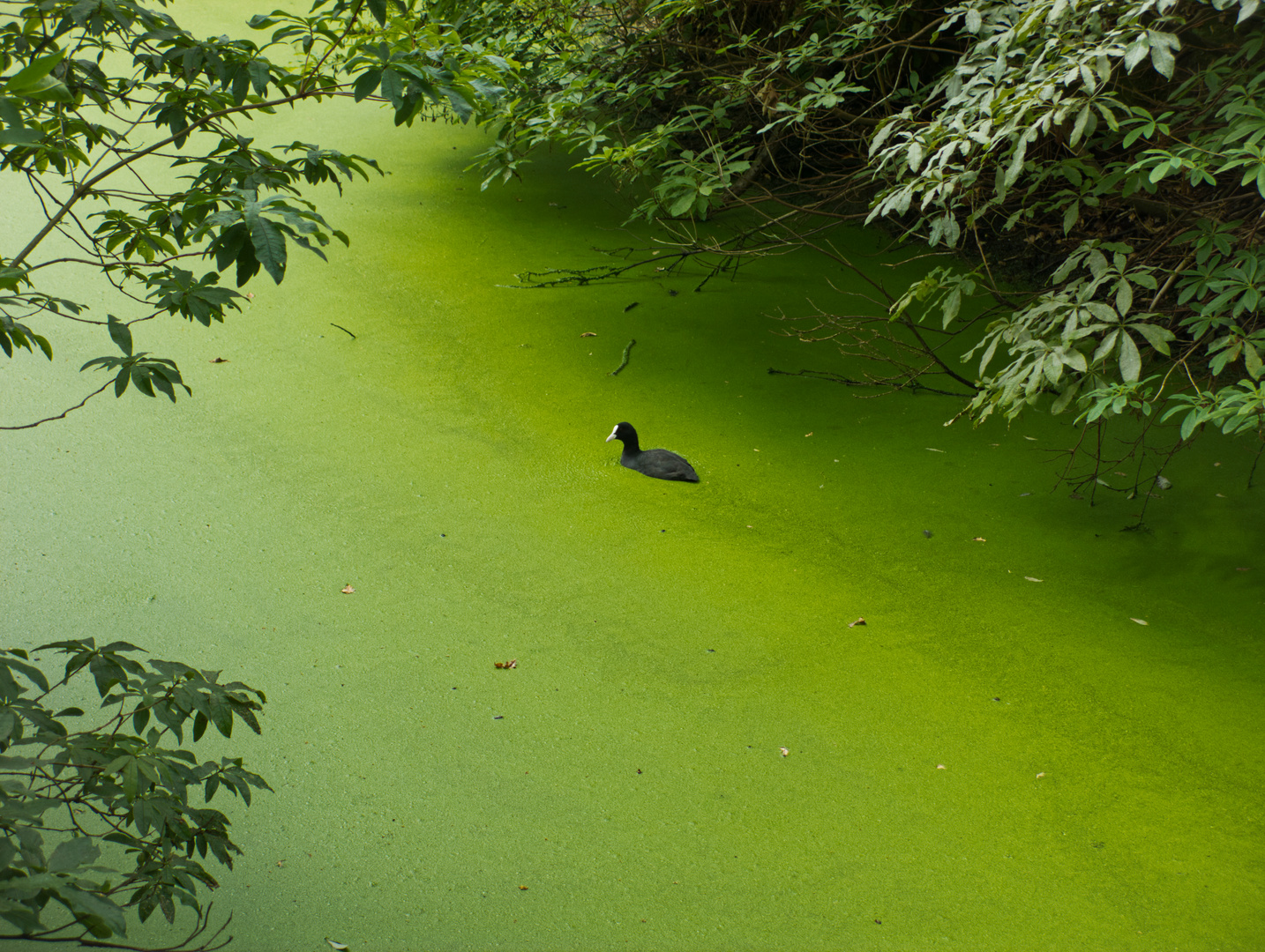 Ausflug ins Grüne