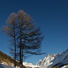 Ausflug in's Lötschental