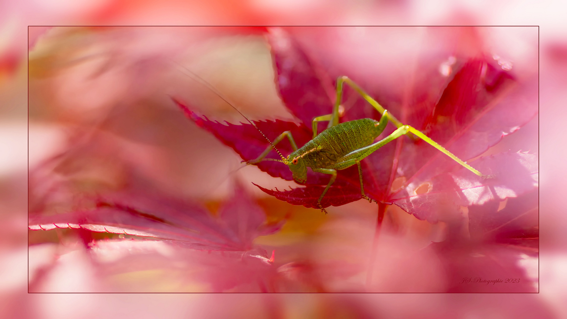 Ausflug ins Rote