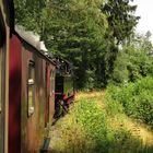 Ausflug ins Selketal zum Bahnhofsfest nach Gernrode 2.