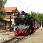 Ausflug ins Selketal zum Bahnhofsfest nach Gernrode 6.