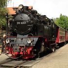 Ausflug ins Selketal zum Bahnhofsfest nach Gernrode 7.