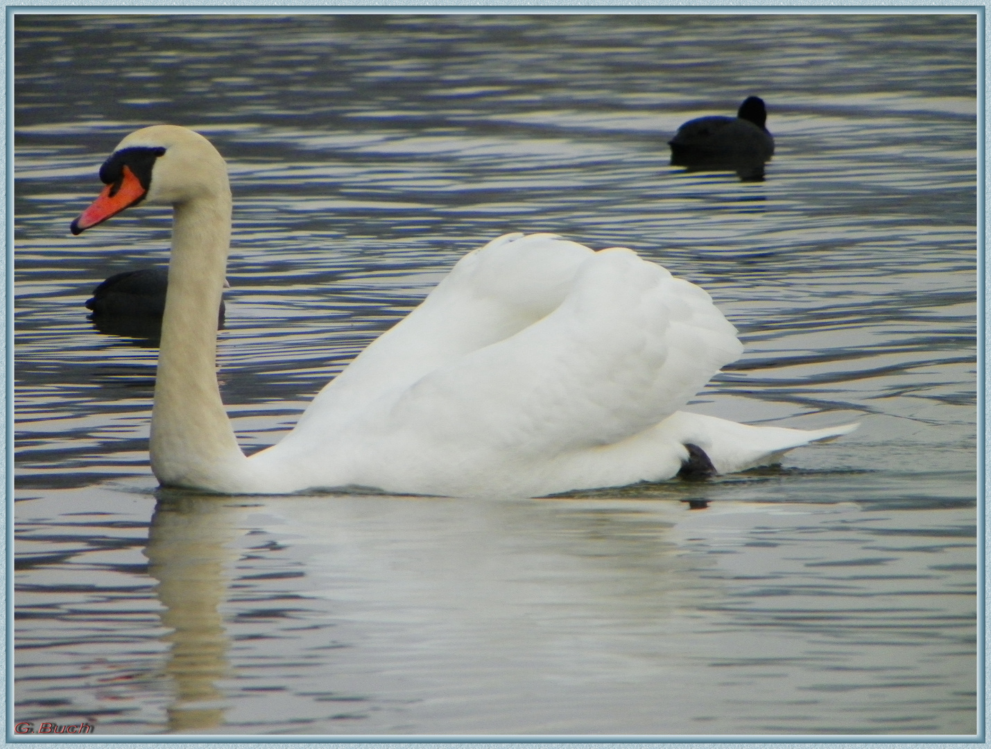 Ausflug mit dem Besuch