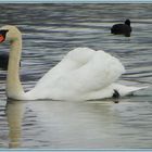 Ausflug mit dem Besuch