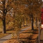 Ausflug mit dem Harzkamel durch den Südharzer Herbst nach Eisfelder Talmühle 3.