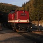 Ausflug mit dem Harzkamel durch den Südharzer Herbst nach Eisfelder Talmühle 5.