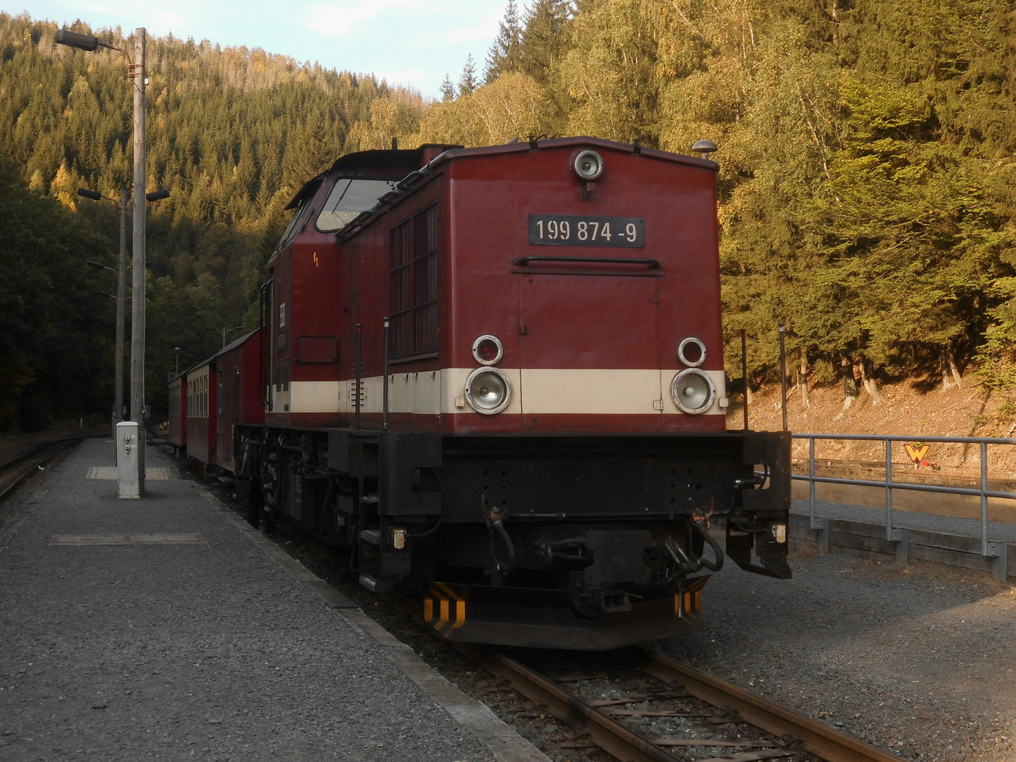 Ausflug mit dem Harzkamel durch den Südharzer Herbst nach Eisfelder Talmühle 6.