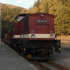 Ausflug mit dem Harzkamel durch den Südharzer Herbst nach Eisfelder Talmühle 6.