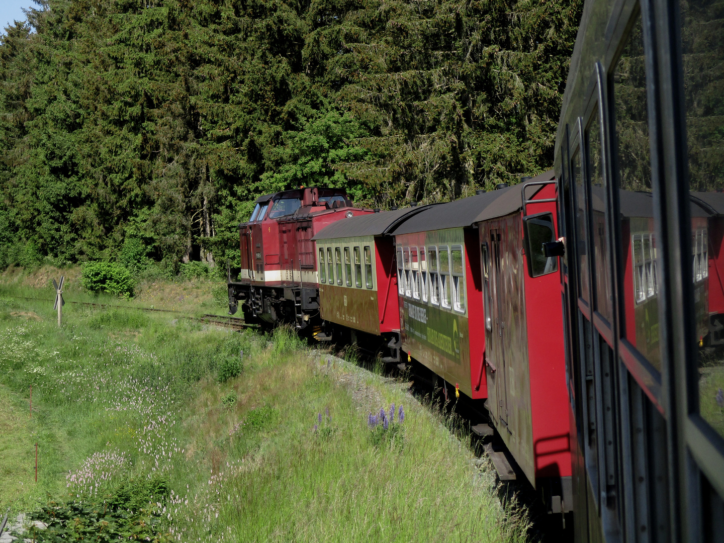 Ausflug mit dem Harzkamel nach Wernigerode 4.