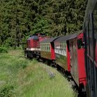 Ausflug mit dem Harzkamel nach Wernigerode 4.