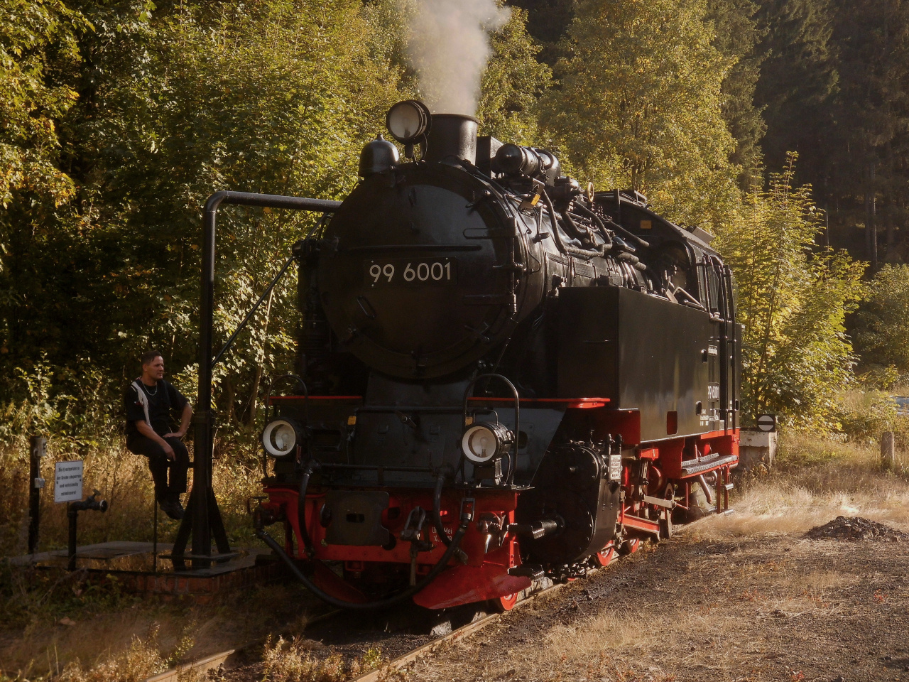 Ausflug mit dem HSB Traditionszug durch das Selketal 5.