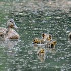  Ausflug mit dem Nachwuchs