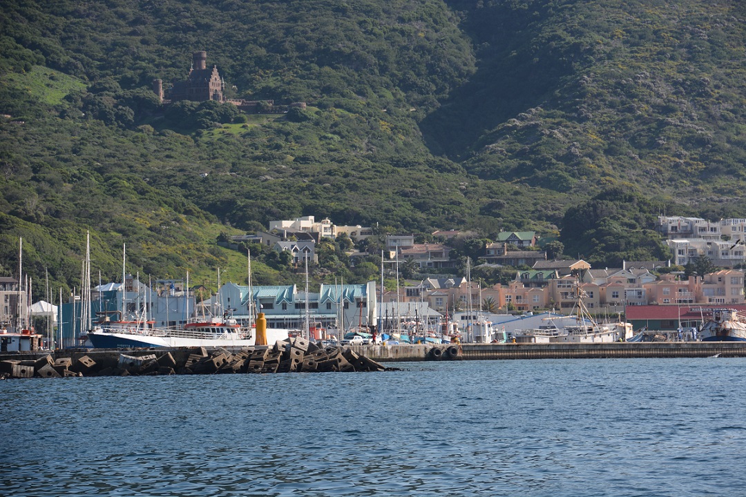 Ausflug mit dem Schiff bei Hout Bay 2