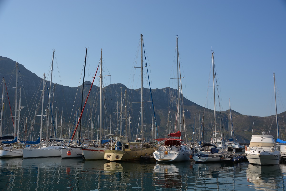 Ausflug mit dem Schiff bei Hout Bay 3