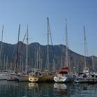 Ausflug mit dem Schiff bei Hout Bay 3