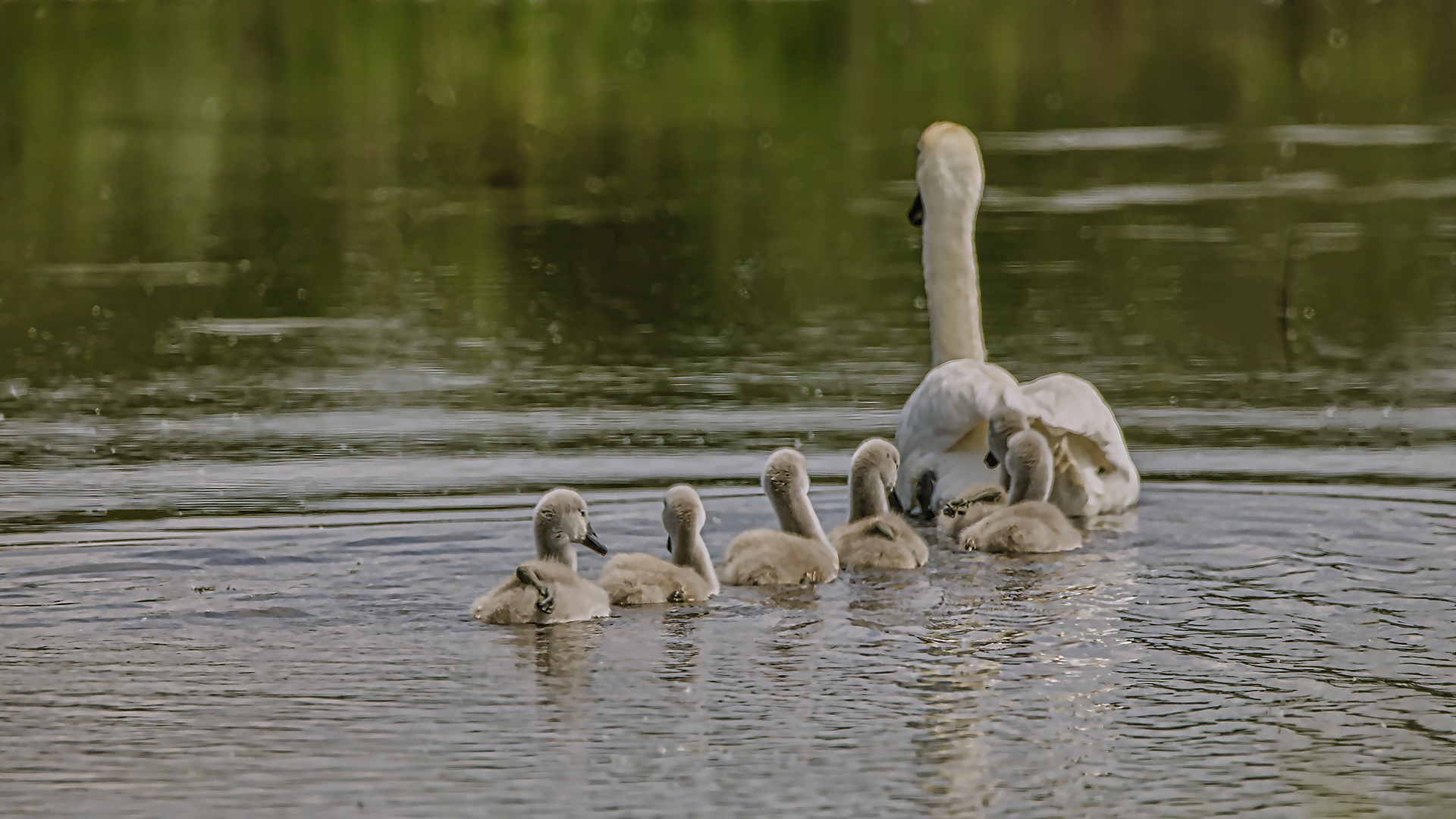 Ausflug mit den Kindern