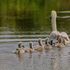 Ausflug mit den Kindern