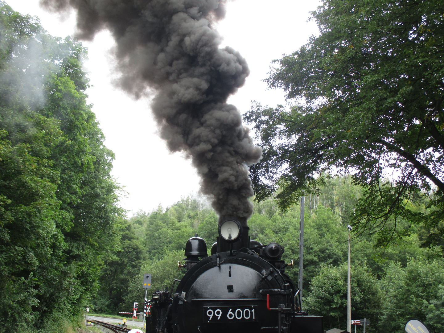 Ausflug mit der 99 6001 durch das Selketal 1.