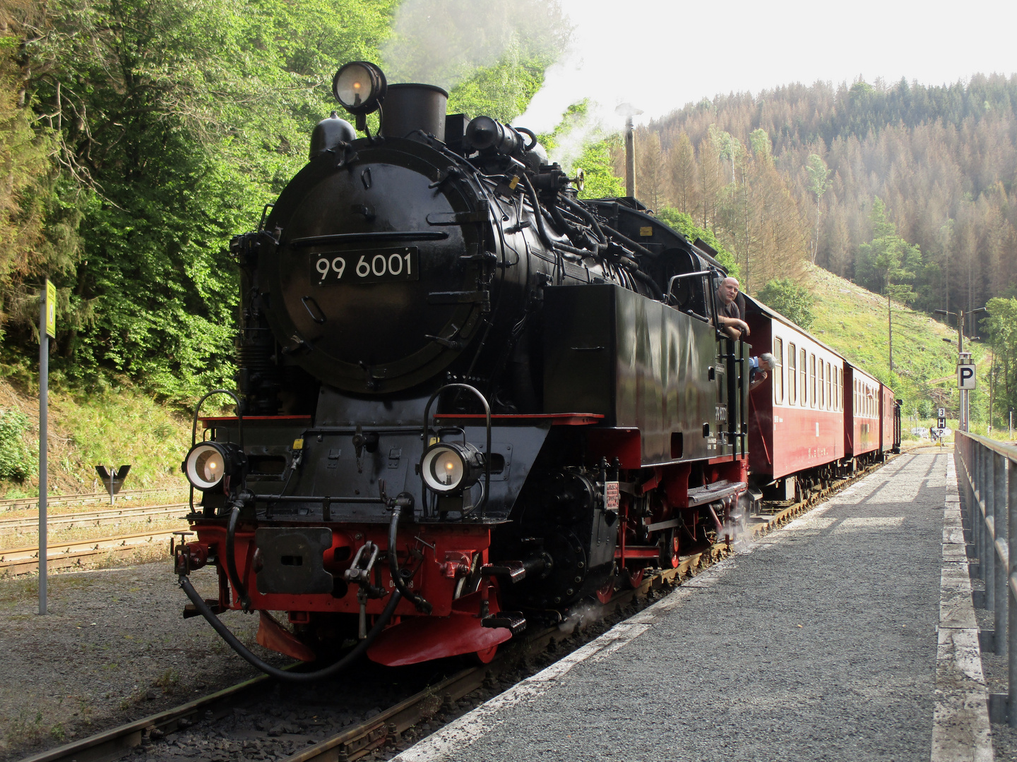 Ausflug mit der 99 6001 durch das Selketal 6.