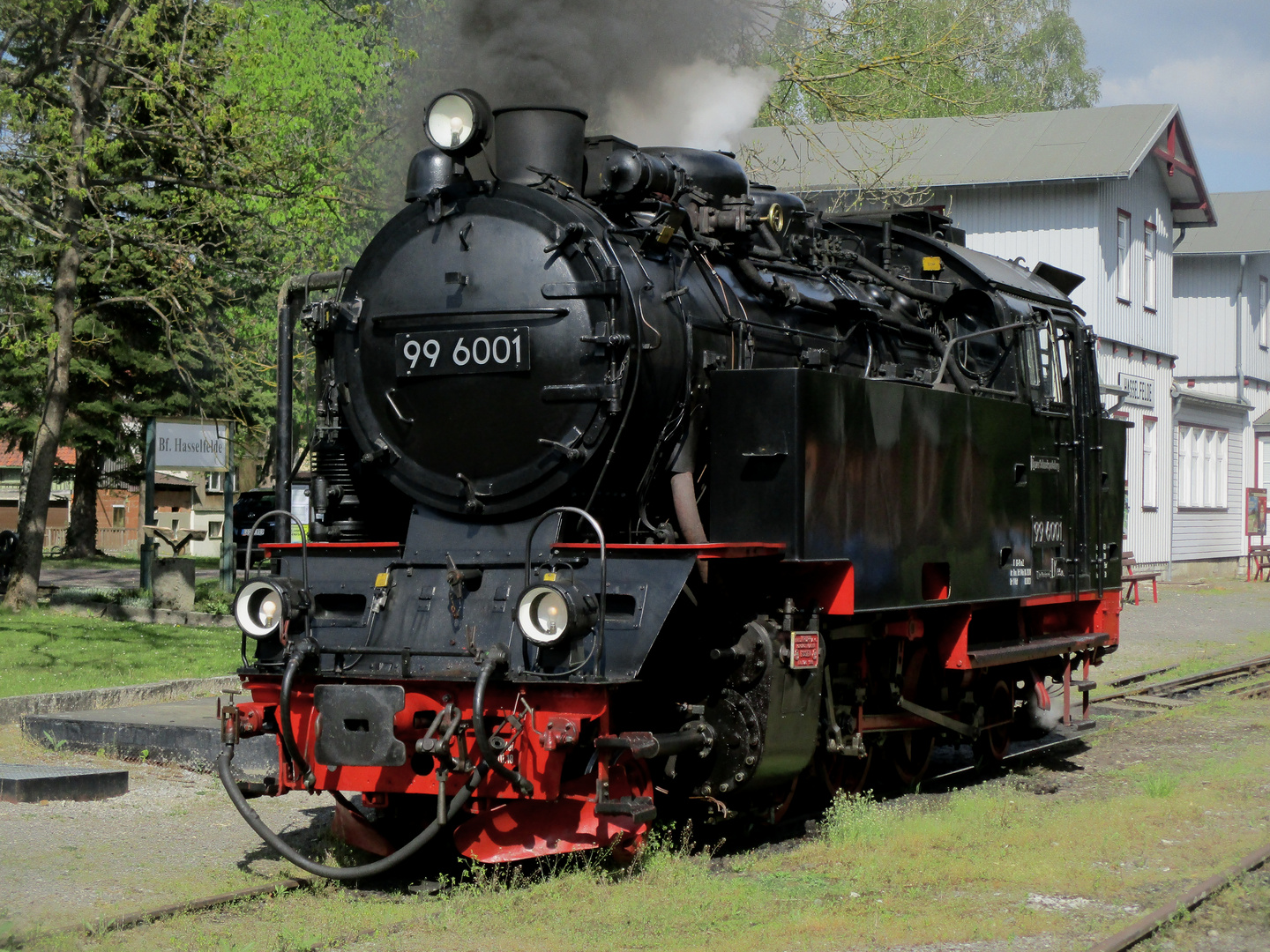 Ausflug mit der 99 6001 durch das Selketal 6.