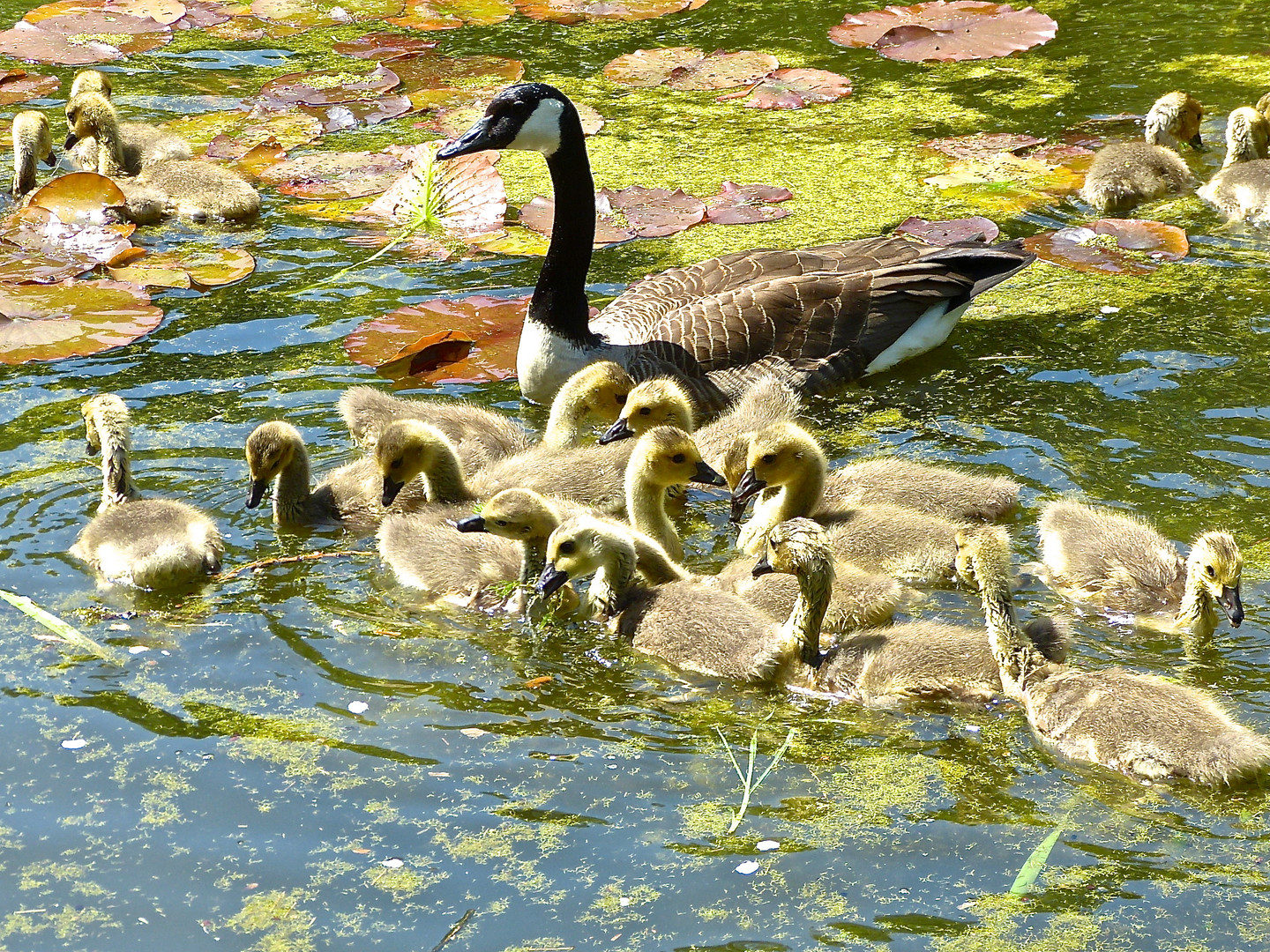 AUSFLUG MIT DER FAMILIE