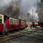 Ausflug mit der HSB nach Eisfelder Talmühle 1.