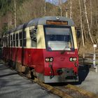 Ausflug mit der HSB nach Eisfelder Talmühle 7.