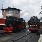 Ausflug mit der HSB nach Wernigerode 2.