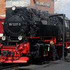 Ausflug mit der HSB nach Wernigerode 3.