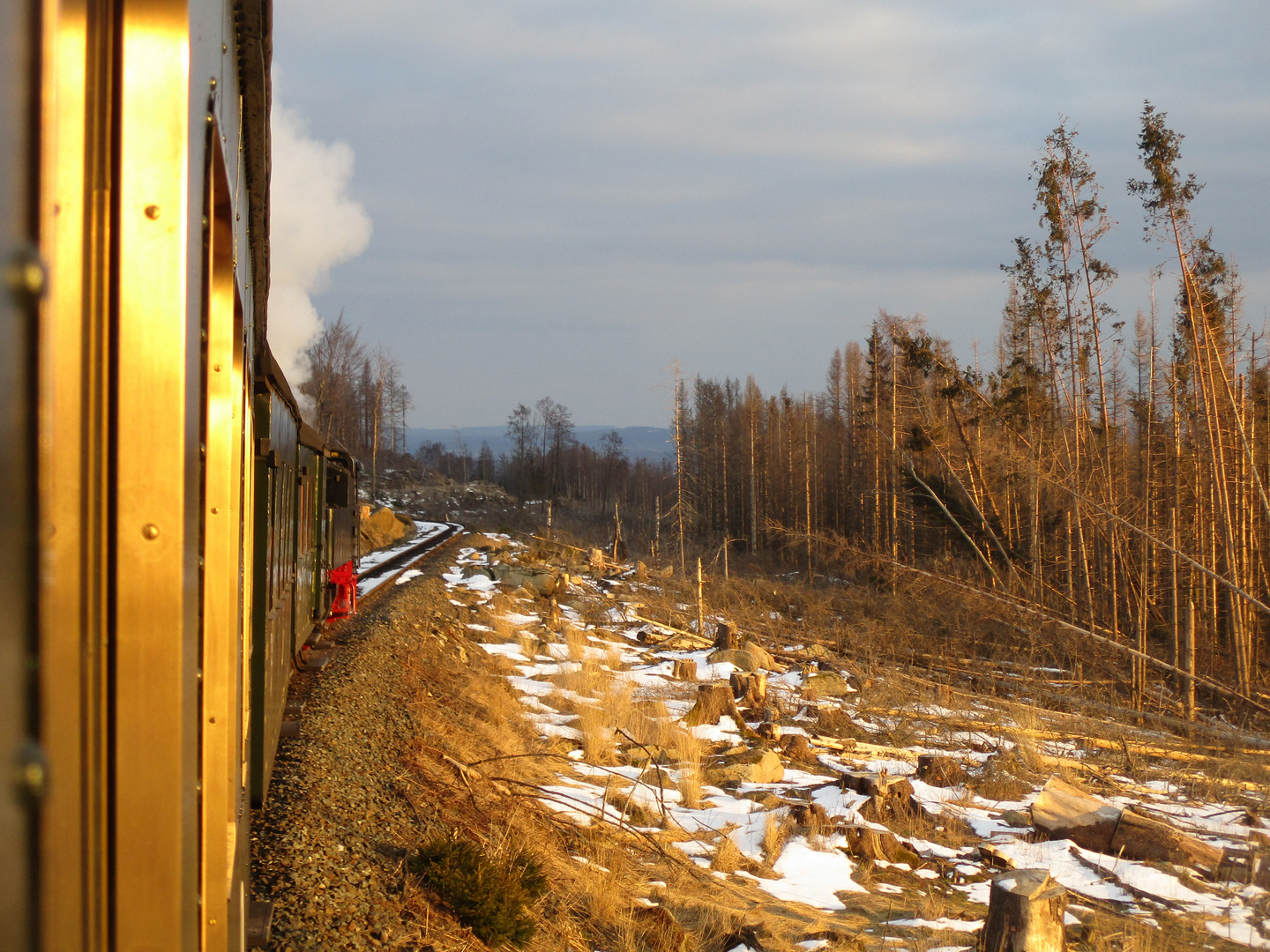 Ausflug mit der IG-HSB zum Brocken 17.