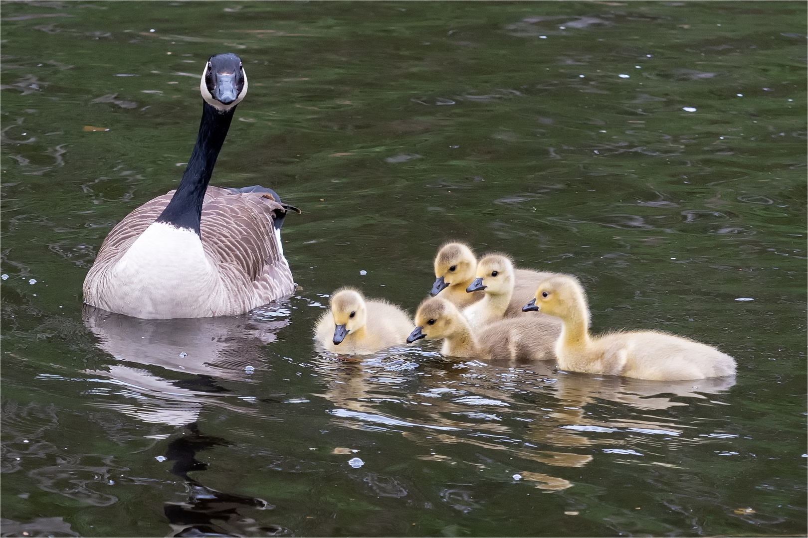 Ausflug mit der Mama  .....