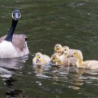 Ausflug mit der Mama  .....