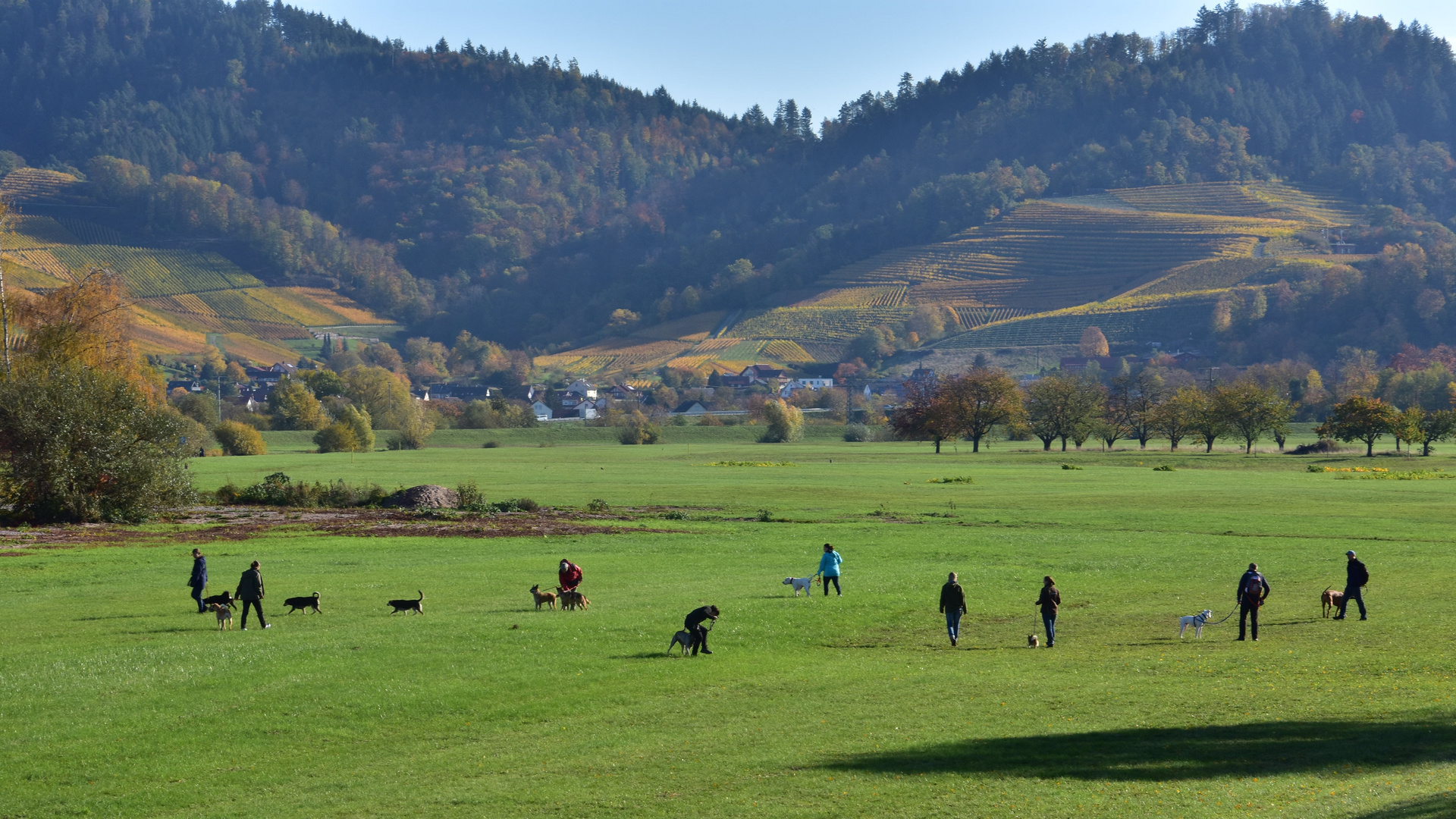 ausflug mit freunden Foto & Bild spezial, hunde, natur Bilder auf