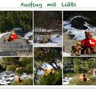 Ausflug mit Lübbi Teil 3